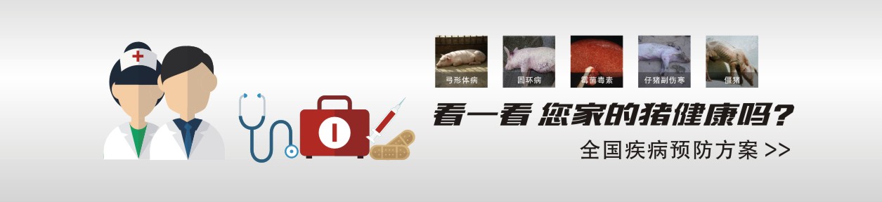 解決方案