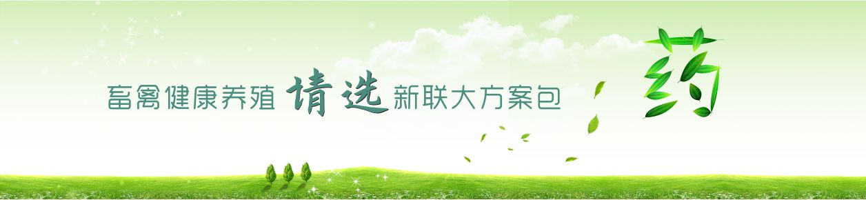 走進新聯大